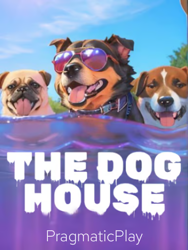 The dog house